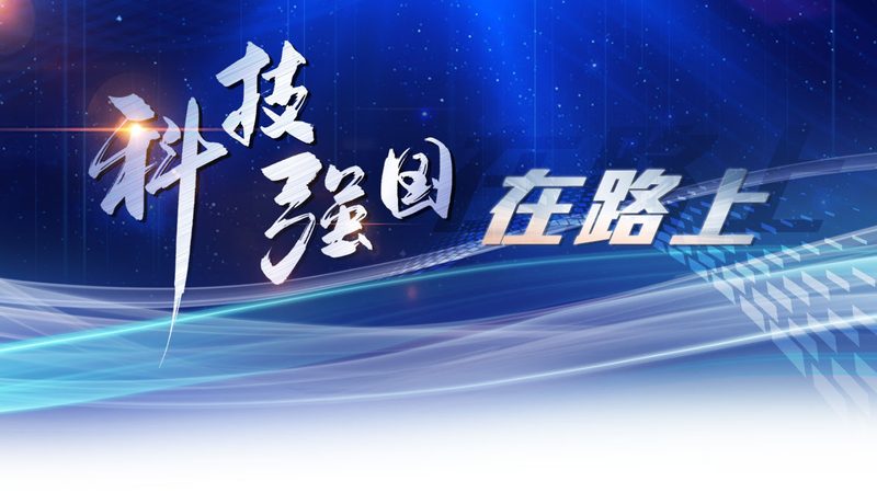 实时搜索性能优化：揭秘提升效率的关键策略