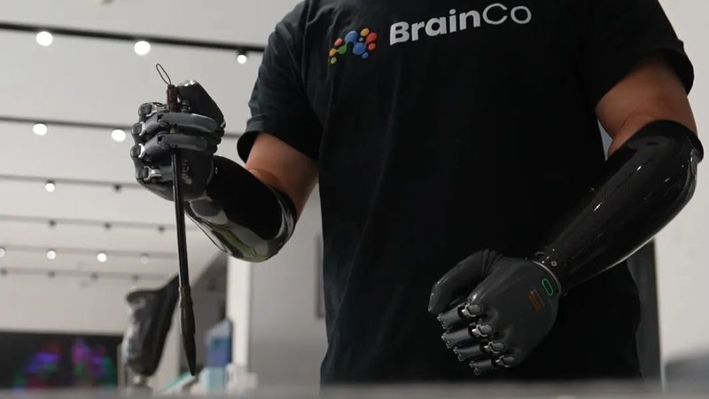 人工智能应用实战：新手如何迈出第一步
